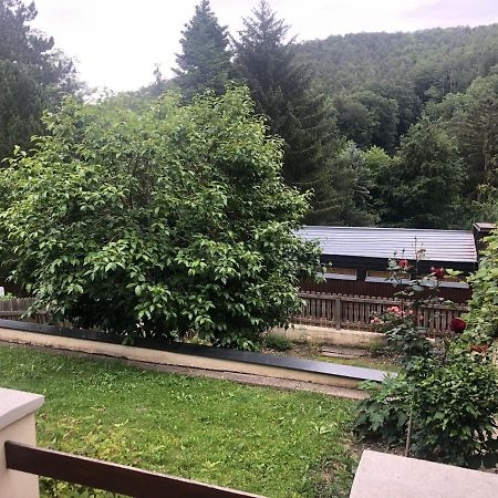 Villa Rafael Forchtenstein Εξωτερικό φωτογραφία
